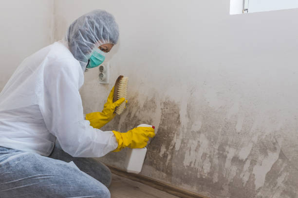 Best Residential Mold Removal  in Stanfield, NC