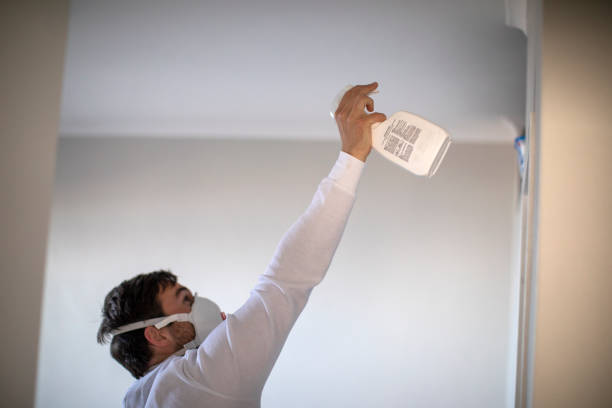Office Mold Removal Services in Stanfield, NC