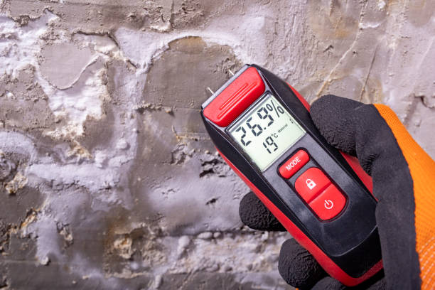 Best Professional Mold Removal  in Stanfield, NC