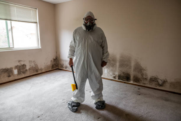 Trusted Stanfield, NC Mold Removal Experts